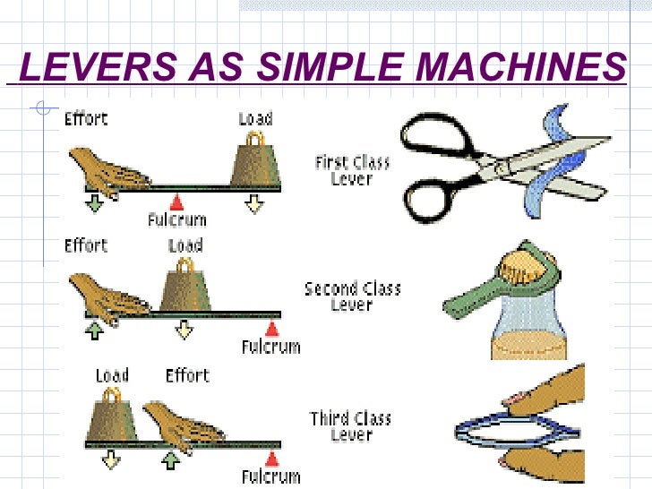 Muscle Levers.ppt