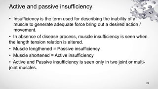 Active and passive insufficiency
• Insufficiency is the term used for describing the inability of a
muscle to generate adequate force bring out a desired action /
movement.
• In absence of disease process, muscle insufficiency is seen when
the length tension relation is altered.
• Muscle lengthened = Passive insufficiency
• Muscle shortened = Active insufficiency
• Active and Passive insufficiency is seen only in two joint or multi-
joint muscles.
24
 