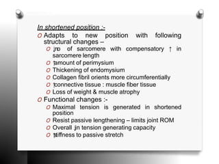 Muscle Mechanics education purpose.....pptx