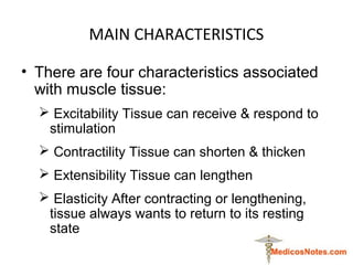 MAIN CHARACTERISTICS
• There are four characteristics associated
with muscle tissue:
 Excitability Tissue can receive & r...