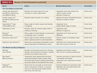 Anatomy of human facial muscles .pptx