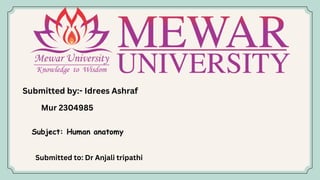 Submitted by:- Idrees Ashraf
Mur 2304985
Subject: Human anatomy
Submitted to: Dr Anjali tripathi
 