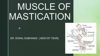 z
MUSCLE OF
MASTICATION
DR. SONAL SUBHANGI { MDS1ST YEAR}
 