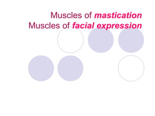 Muscles of mastication
Muscles of facial expression
 