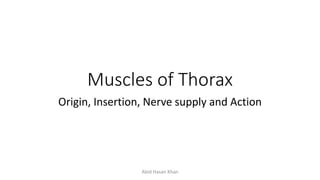Muscles of Thorax
Origin, Insertion, Nerve supply and Action
Abid Hasan Khan
 