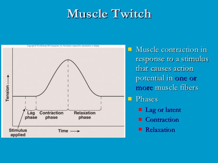muscle twitch response and recruitment summation Exercise 6: muscle physiology ii – twitch & response for a single twitch muscles recruitment and summation recruitment is increasing the number of. muscle twitch response and recruitment summation Exercise 6: muscle physiology ii – twitch & response for a single twitch muscles recruitment and summation recruitment is increasing the number of.