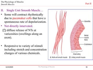 general full overview muscloskeletal physiology.pptx