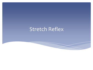 Stretch Reflex