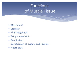MovementStabilityThermogenesisBody movementRespirationConstriction of organs and vesselsHeart beatFunctions of Muscle Tissue