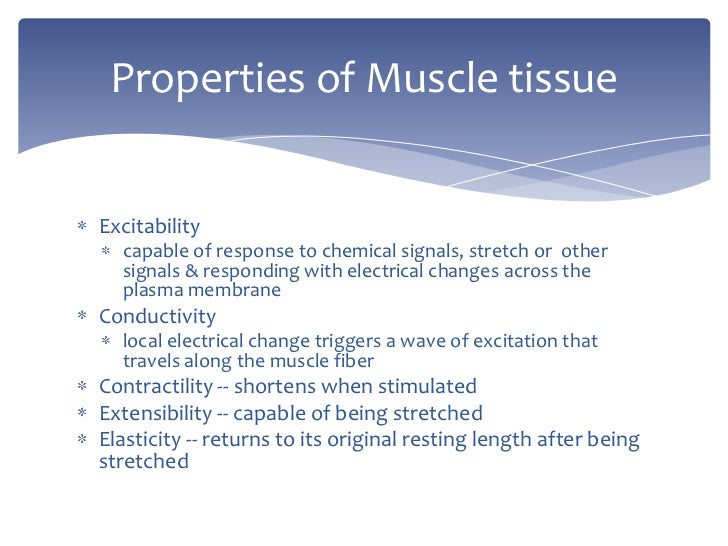 Muscle physiology
