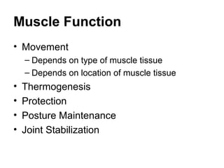 Muscle Function
• Movement
– Depends on type of muscle tissue
– Depends on location of muscle tissue
• Thermogenesis
• Protection
• Posture Maintenance
• Joint Stabilization
 
