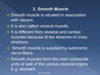 3. Smooth Muscle
 Smooth muscle is situated in association
with viscera.
 It is also called visceral muscle.
 It is different from skeletal and cardiac
muscles because of the absence of cross
striations.
 Smooth muscle is supplied by autonomic
nerve fibers.
 Smooth muscles form the main contractile
units of wall of the various visceral organs
E.g. stomach.
By Gladys Stephen
 