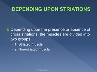  Depending upon the presence or absence of
cross striations, the muscles are divided into
two groups:
› 1. Striated muscle
› 2. Non-striated muscle.
By Gladys Stephen
 
