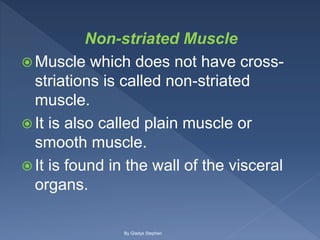 Non-striated Muscle
 Muscle which does not have cross-
striations is called non-striated
muscle.
 It is also called plain muscle or
smooth muscle.
 It is found in the wall of the visceral
organs.
By Gladys Stephen
 