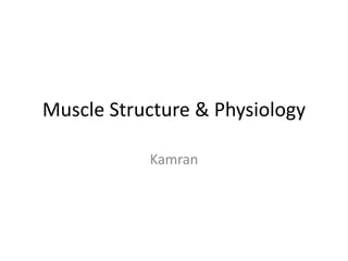 Muscle Structure & Physiology
Kamran
 
