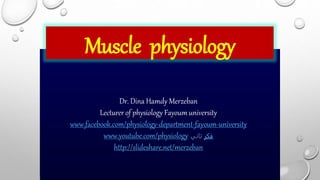 Muscle physiology
Dr. Dina Hamdy Merzeban
Lecturer of physiology Fayoum university
www.facebook.com/physiology-department-fayoum-university
www.youtube.com/physiology ‫فكر‬
‫تاني‬
http://slideshare.net/merzeban
 