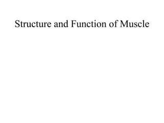 Structure and Function of Muscle
 