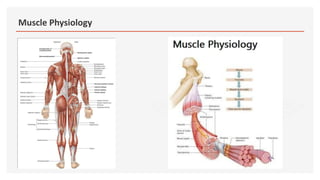 Muscle Physiology
 