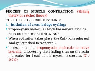 Comprehensive Overview of Muscle Physiology and Contraction Mechanisms ...