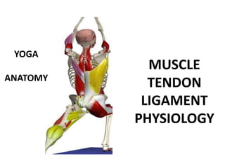 YOGA
            MUSCLE
ANATOMY
            TENDON
           LIGAMENT
          PHYSIOLOGY
 