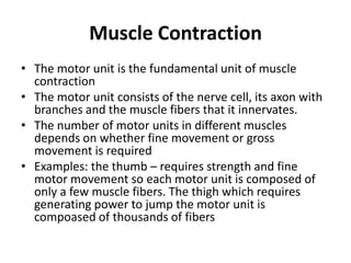 Muscle Contraction
• The motor unit is the fundamental unit of muscle
  contraction
• The motor unit consists of the nerve cell, its axon with
  branches and the muscle fibers that it innervates.
• The number of motor units in different muscles
  depends on whether fine movement or gross
  movement is required
• Examples: the thumb – requires strength and fine
  motor movement so each motor unit is composed of
  only a few muscle fibers. The thigh which requires
  generating power to jump the motor unit is
  compoased of thousands of fibers
 
