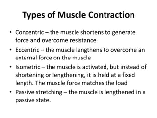Types of Muscle Contraction
• Concentric – the muscle shortens to generate
  force and overcome resistance
• Eccentric – the muscle lengthens to overcome an
  external force on the muscle
• Isometric – the muscle is activated, but instead of
  shortening or lengthening, it is held at a fixed
  length. The muscle force matches the load
• Passive stretching – the muscle is lengthened in a
  passive state.
 