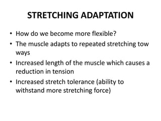 STRETCHING ADAPTATION
• How do we become more flexible?
• The muscle adapts to repeated stretching tow
  ways
• Increased length of the muscle which causes a
  reduction in tension
• Increased stretch tolerance (ability to
  withstand more stretching force)
 