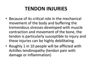 TENDON INJURIES
• Because of its critical role in the mechanical
  movement of the body and buffering the
  tremendous stresses developed with muscle
  contraction and movement of the bone, the
  tendon is particularly susceptible to injury and
  these injuries can be highly debilitating.
• Roughly 1 in 10 people will be afflicted with
  Achilles tendinopathy (tendon pain with
  damage or inflammation)
 