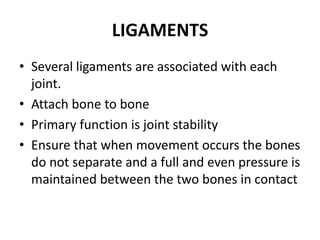 LIGAMENTS
• Several ligaments are associated with each
  joint.
• Attach bone to bone
• Primary function is joint stability
• Ensure that when movement occurs the bones
  do not separate and a full and even pressure is
  maintained between the two bones in contact
 