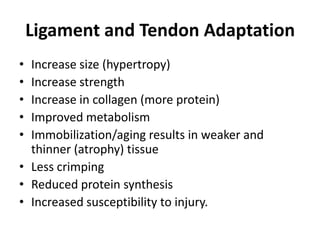 Ligament and Tendon Adaptation
• Increase size (hypertropy)
• Increase strength
• Increase in collagen (more protein)
• Improved metabolism
• Immobilization/aging results in weaker and
  thinner (atrophy) tissue
• Less crimping
• Reduced protein synthesis
• Increased susceptibility to injury.
 