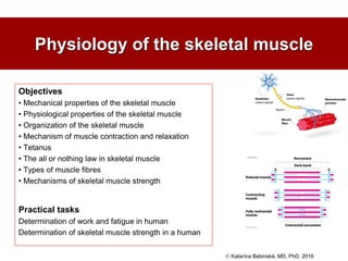 Pratical Muscle Muscle_Physiology_and it's contractile action | PDF