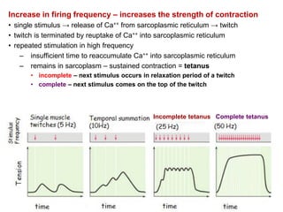 Muscle_Physiology_and it's contractile action | PDF