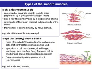 Muscle_Physiology_and it's contractile action | PDF