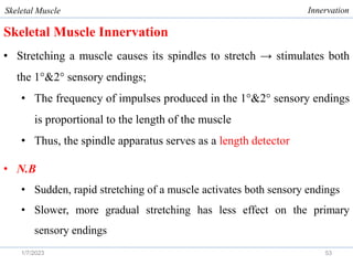 Comprehensive Overview of Skeletal Muscle Physiology and Function | PDF