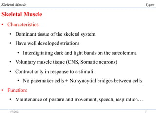 Comprehensive Overview of Skeletal Muscle Physiology and Function | PDF