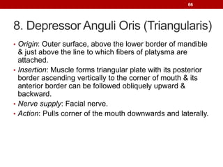 Muscle physiology and muscles of facial expressions & mastication | PPTX
