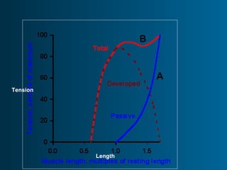 Length
Tension
 