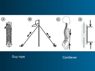 Guy rope Cantilever
 