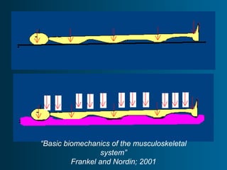 “Basic biomechanics of the musculoskeletal
system”
Frankel and Nordin; 2001
 