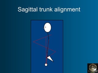 Sagittal trunk alignment
 