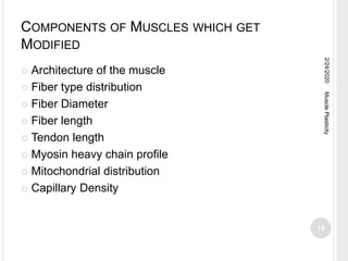 COMPONENTS OF MUSCLES WHICH GET
MODIFIED
 Architecture of the muscle
 Fiber type distribution
 Fiber Diameter
 Fiber length
 Tendon length
 Myosin heavy chain profile
 Mitochondrial distribution
 Capillary Density
2/24/2020
15
MusclePlasticity
 