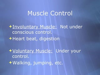 Muscle Control <ul><li>Involuntary Muscle:   Not under conscious control. </li></ul><ul><li>Heart beat, digestion </li></u...