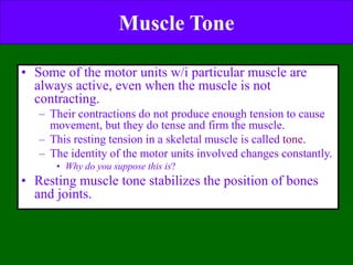 muscleppt-090806071306-phpappjdasdasdsadasdas | PPT