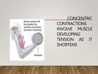 CONCENTRIC
CONTRACTIONS
INVOLVE MUSCLE
DEVELOPING
TENSION AS IT
SHORTENS
 
