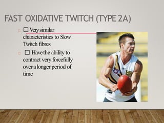 FAST OXIDATIVE TWITCH (TYPE2A)
Verysimilar
characteristics to Slow
Twitch fibres
Havethe ability to
contract veryforcefully
overalonger period of
time
 