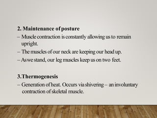 2. Maintenance ofposture
– Musclecontraction isconstantly allowingusto remain
upright.
– Themusclesofour neckare keepingour headup.
–Aswestand, our legmuscles keepuson two feet.
3.Thermogenesis
– Generation ofheat. Occurs viashivering– aninvoluntary
contraction ofskeletal muscle.
 