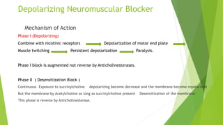 Depolarizing Block Muscle Relaxant.pptx