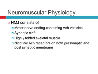 Neuromuscular PhysiologyNMJ consists ofMotor nerve ending containing Ach vesiclesSynaptic cleftHighly folded skeletal muscleNicotinic Ach receptors on both presynaptic and post synaptic membrane
