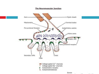 Source: http://www.frca.co.uk/Page.aspx?id=60