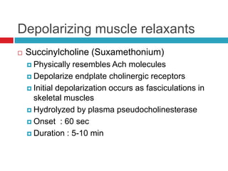Depolarizing muscle relaxantsSuccinylcholine(Suxamethonium)Physically resembles Ach moleculesDepolarize endplate cholinergic receptorsInitial depolarization occurs as fasciculations in skeletal musclesHydrolyzed by plasma pseudocholinesteraseOnset  : 60 secDuration : 5-10 min